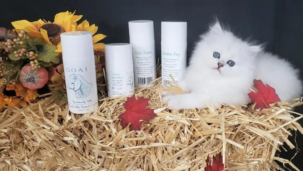 GOAT hand creams with white cat on hay bale