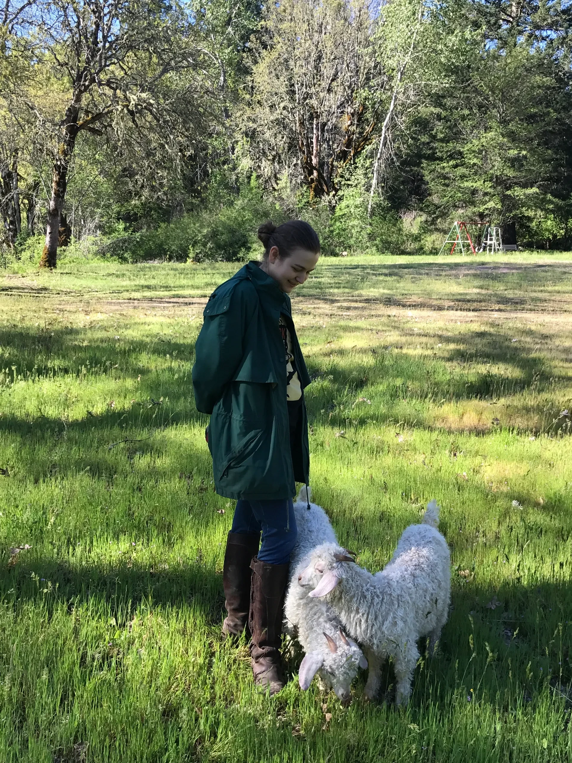 Person with Angora goat in spring meadow
